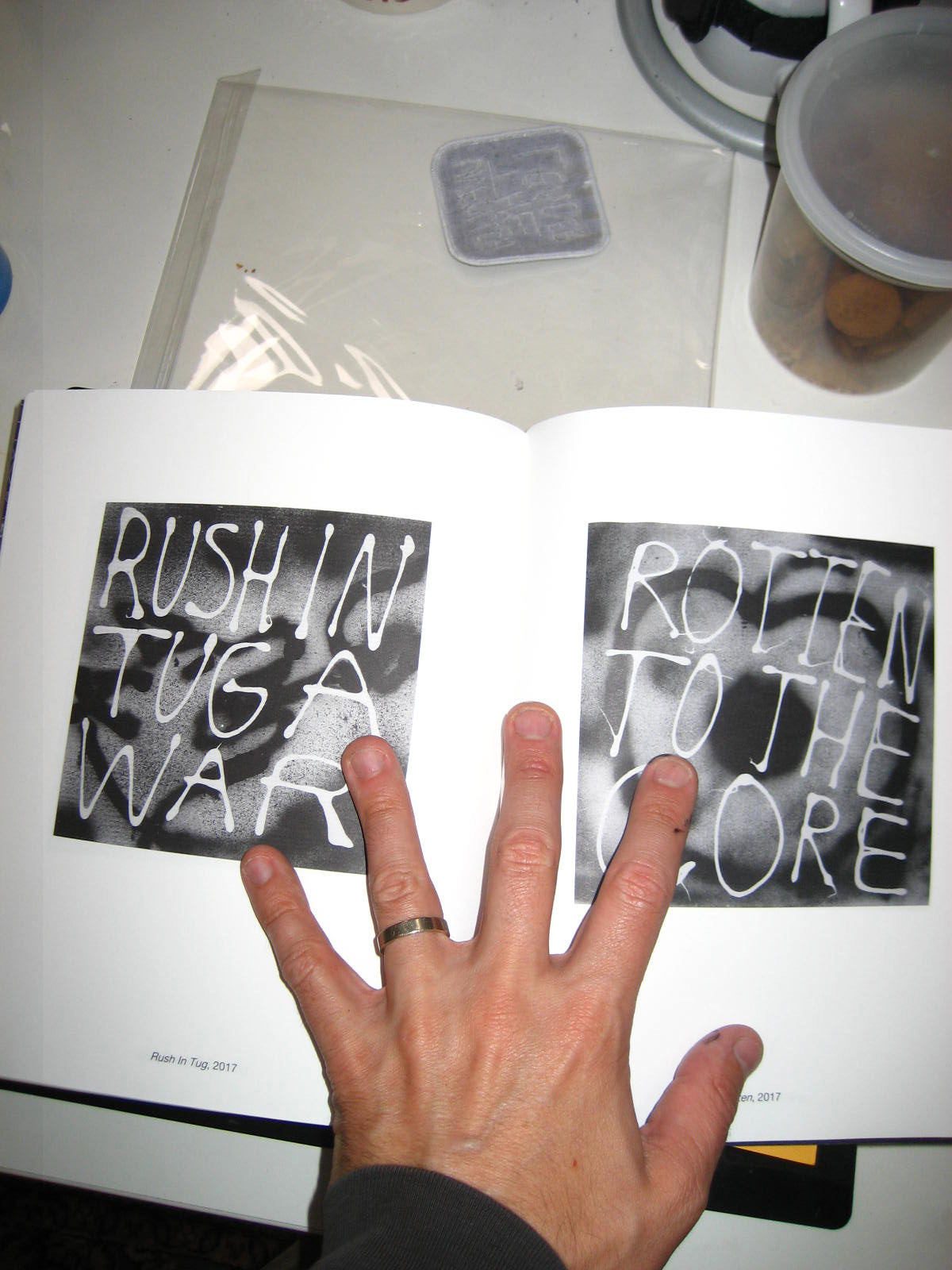 Protest Paintings Book