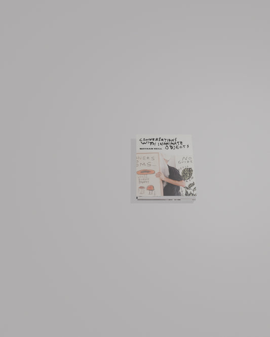 Conversations With Animated Objects The Book